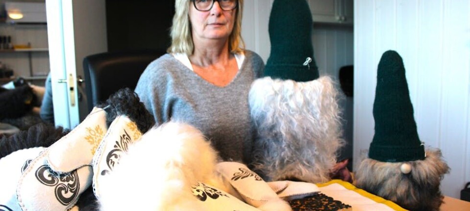 En skinnfell ble starten på en varmende hobby for Sølvi