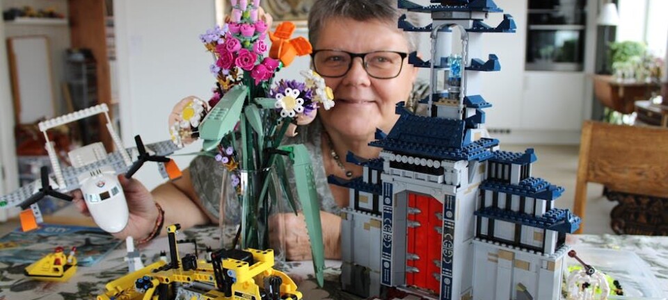 Kari har dilla på lego – bygger smått og stort