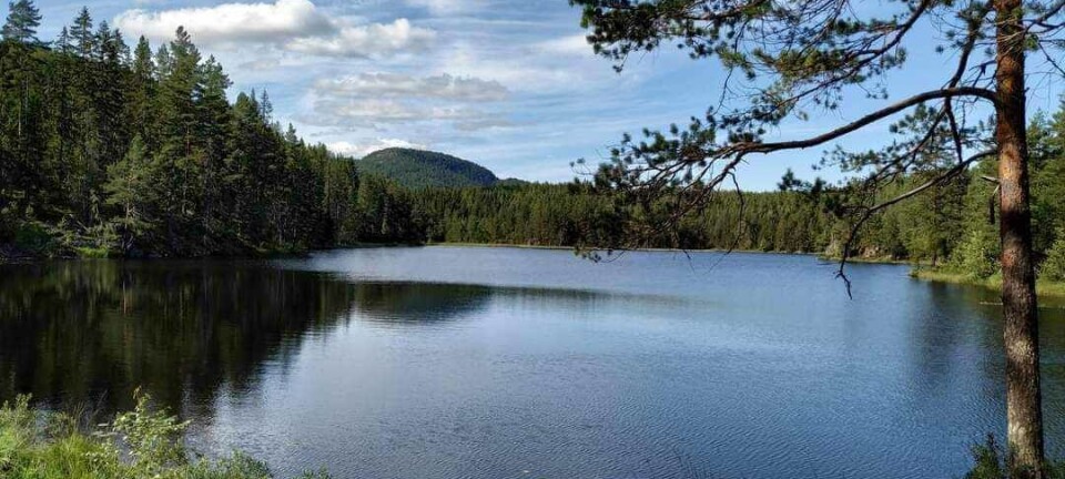 400 år med skog, jord og fortellinger