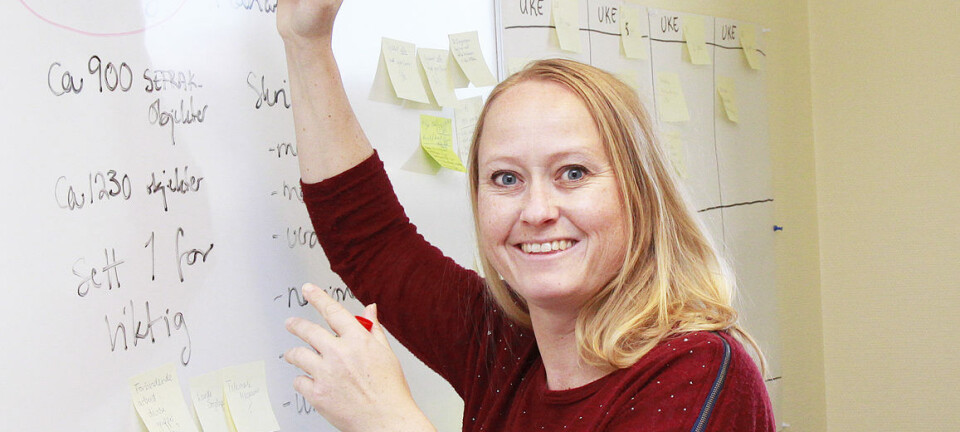 Hva er bærekraftsråd og hvorfor gjør Nome kommune dette?