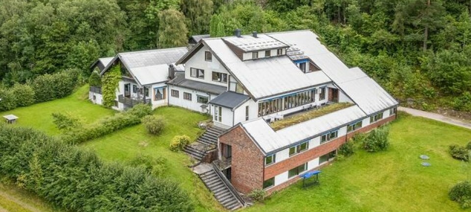 Dette ble dommen etter cannabisplantasjen på Barlaug
