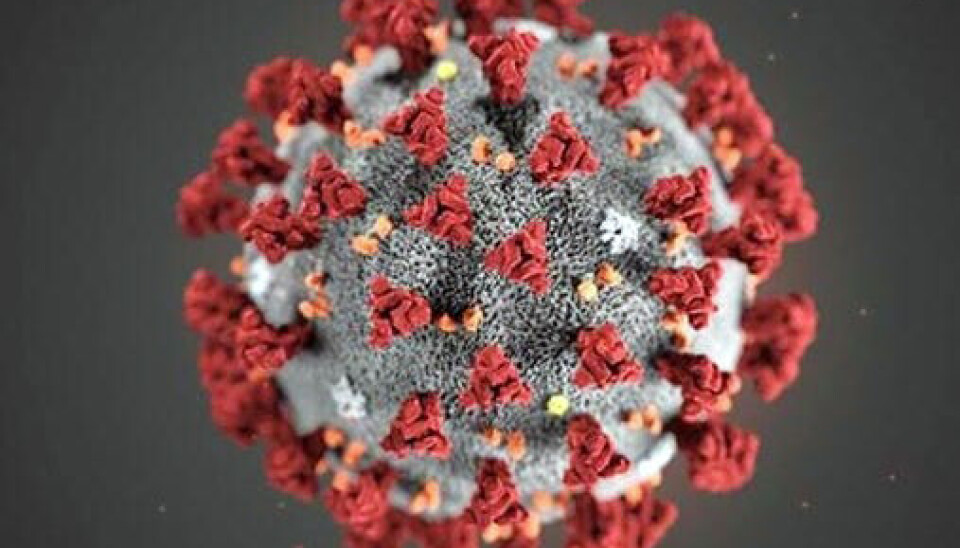Quiz: Hva kan du om virus?