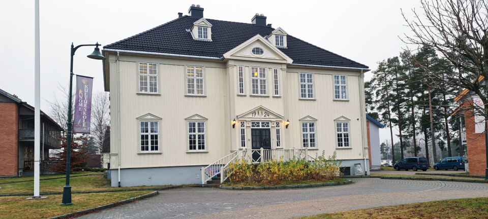 Inviterer til gratis kulturdag for Nomes barnefamilier