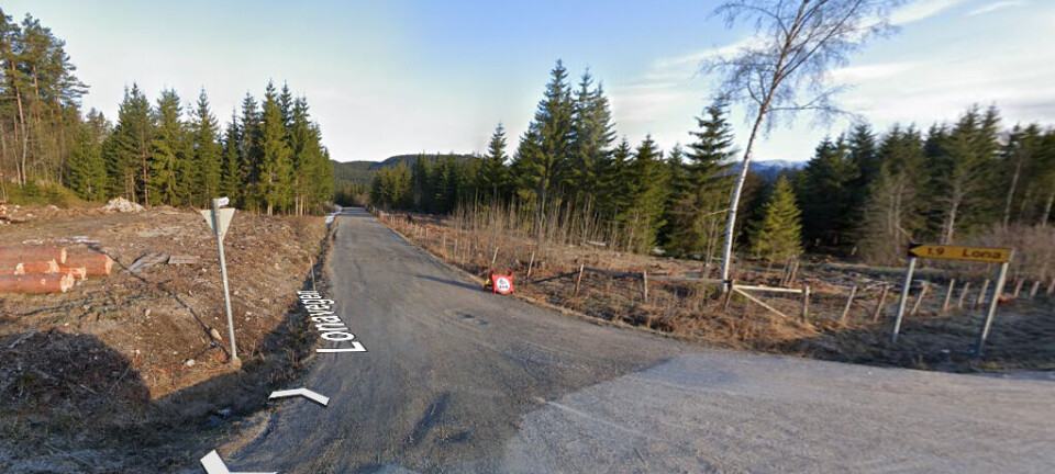 Privatisering av veier