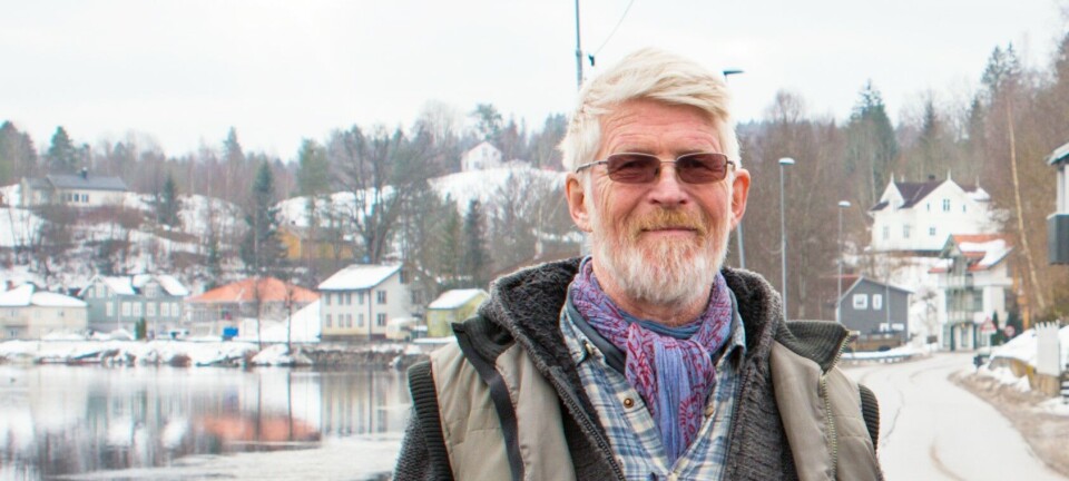 Fensfeltet og vedtatt Samfunnsstrategi