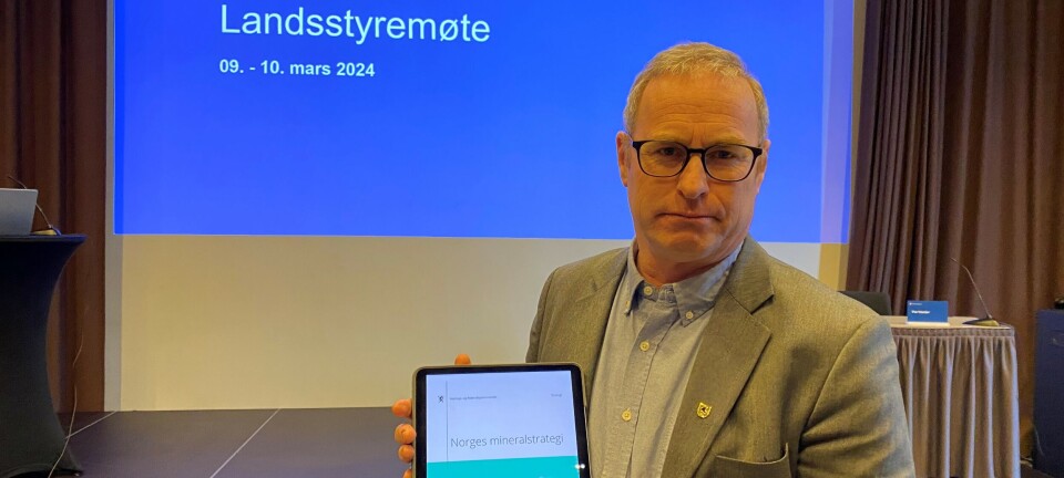 Er det en minimal, eller en mineralstrategi, næringsminister Vestre?