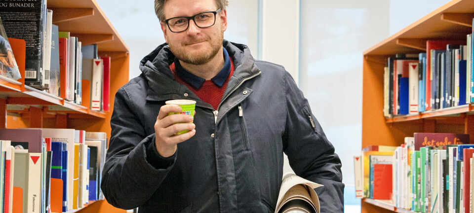 Fensfeltets muligheter, bildebruk og løsninger