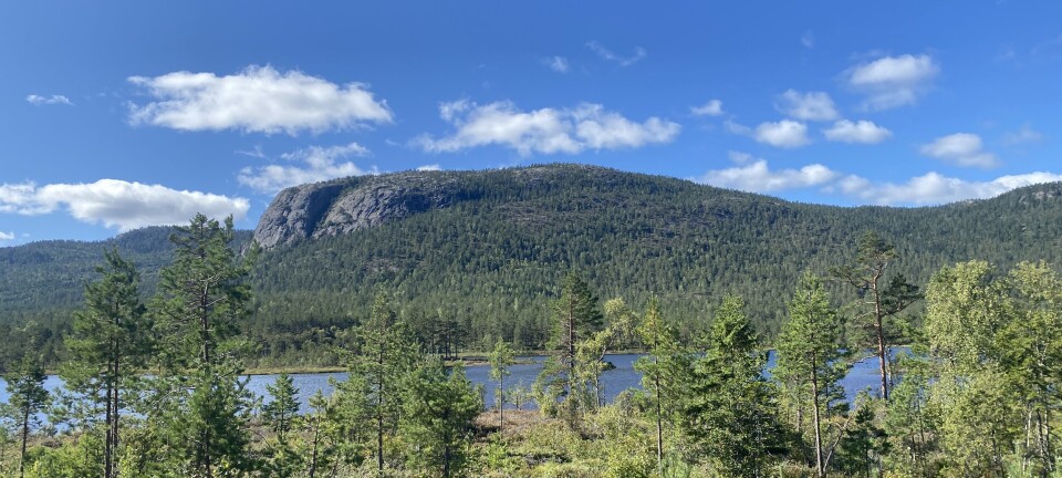 Frykten som sitter i kroppen