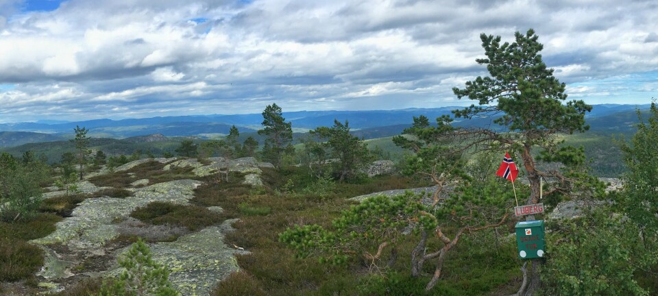 Natur: Vind/sol og Fensfeltet