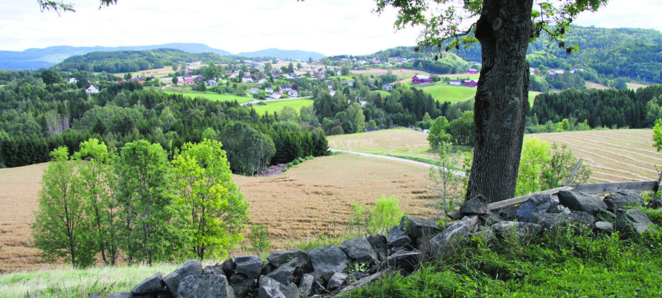 Nome hva nå – fortsatt stagnasjon eller utvikling?