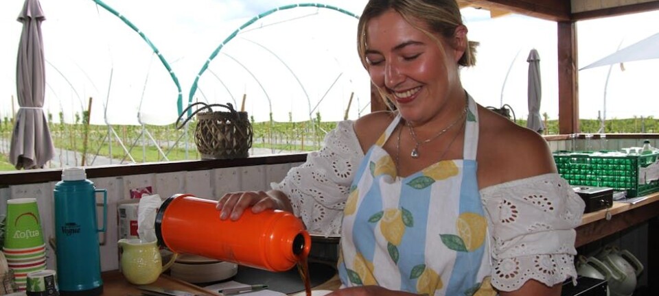 Her er halvlitern billigst i Nome. Se den fullstendige oversikten for øl og vin