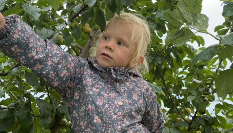 Ingrid 4 år