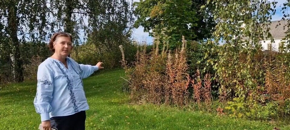 Arbeidet med etableringen av minnelunder er utsatt. Mer omfattende enn først antatt