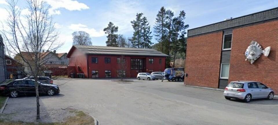 Skal bestemme om Seljord inviteres med i PPT-samarbeid