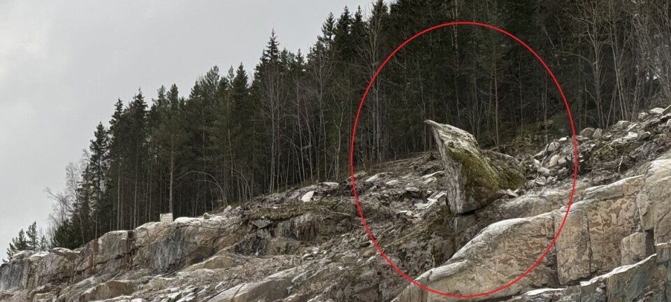 Kan denne bli Nomes svar på «Trollpikken» ?