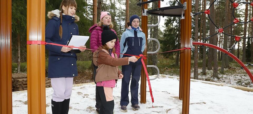 –	Fint å ha både trær og lekestativ