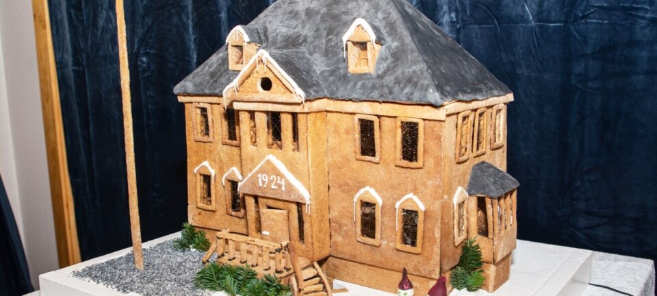 Pepperkakebygda Lunde skal gi penger til en god sak