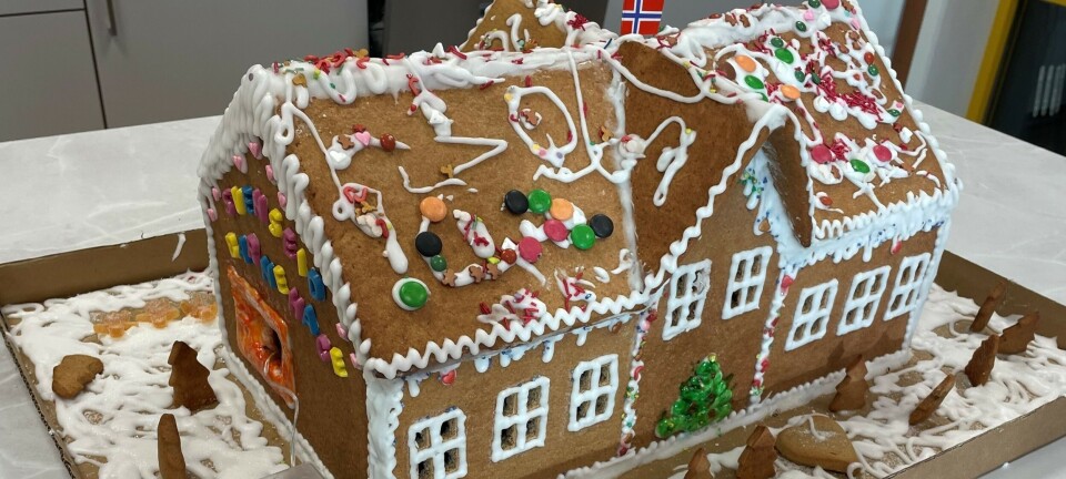 Pepperkakeprosjektet skapte engasjement. Ti heldige vinnere kåret