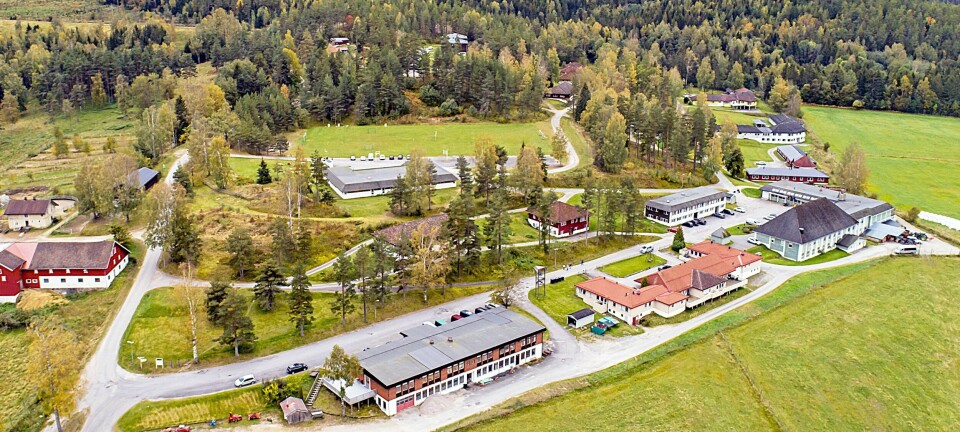 Mottaket mister 40 plasser: Betyr at bemanningen må ned