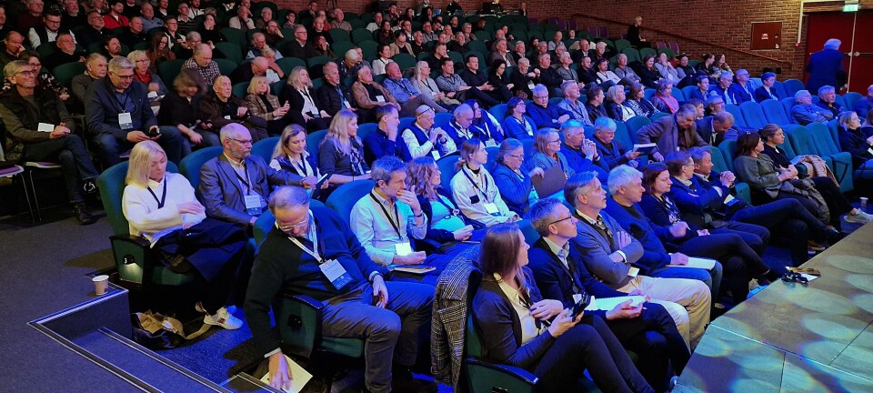 – Fensdagene har etablert seg som en «plass man må være»