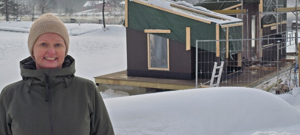 Bad og badstueanlegget kan stå ferdig i februar