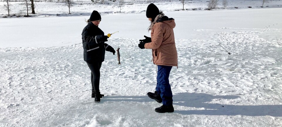 Inviterer til familiedag på Tyrivannet. – Det ligger an til godt «fiskebet»
