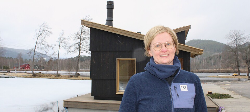 Bra start for Skogens rom. - Mange bruker badstua