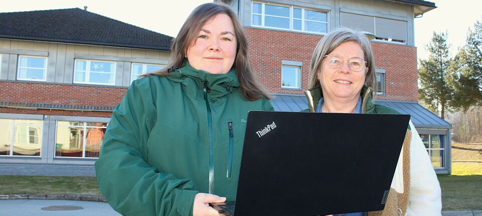 De vil hjelpe deg med digitale tjenester