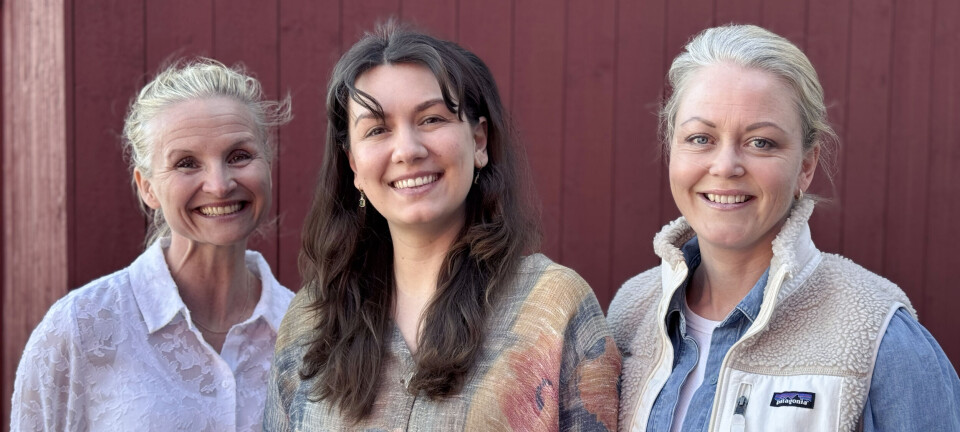 De vil ha deg som statist til et unikt prosjekt i Nome