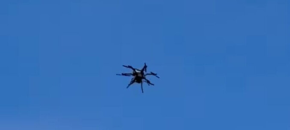 Droneflyging i Lunde skapte sterke reaksjoner: – Føltes som en krenkelse av privatlivet