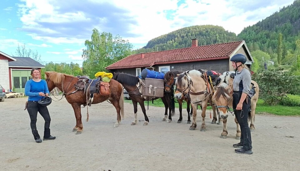 INN PÅ TUNET: Jentene reiser med fem hester. To fjordinger og tre islandshester. De bytter på hvem som benyttes som ridehester og til kløv.