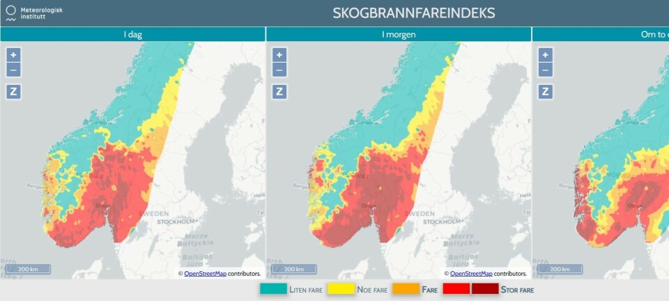 Brannsjefen: – Stor skogbrannfare