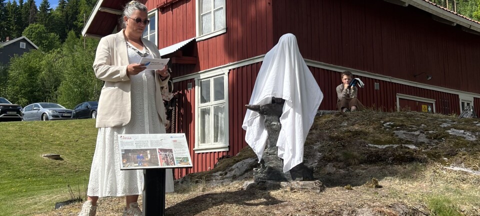 – En hyllest til håndverket, nøyaktigheten, tålmodigheten og styrken