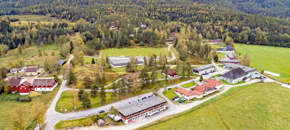 Massiv søking til ledig stilling på mottaket