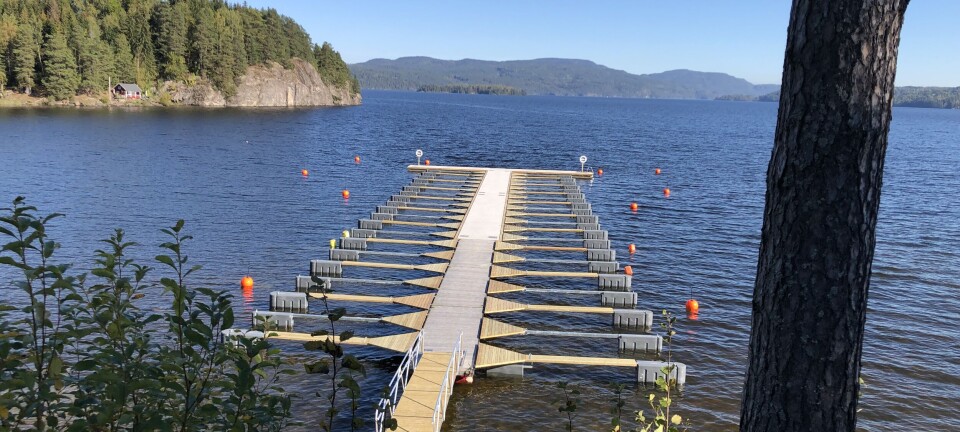 Bryggeplass i Norsjø