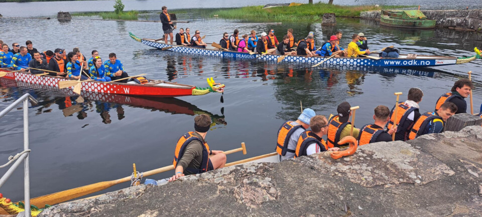 La du merke til disse i helgen