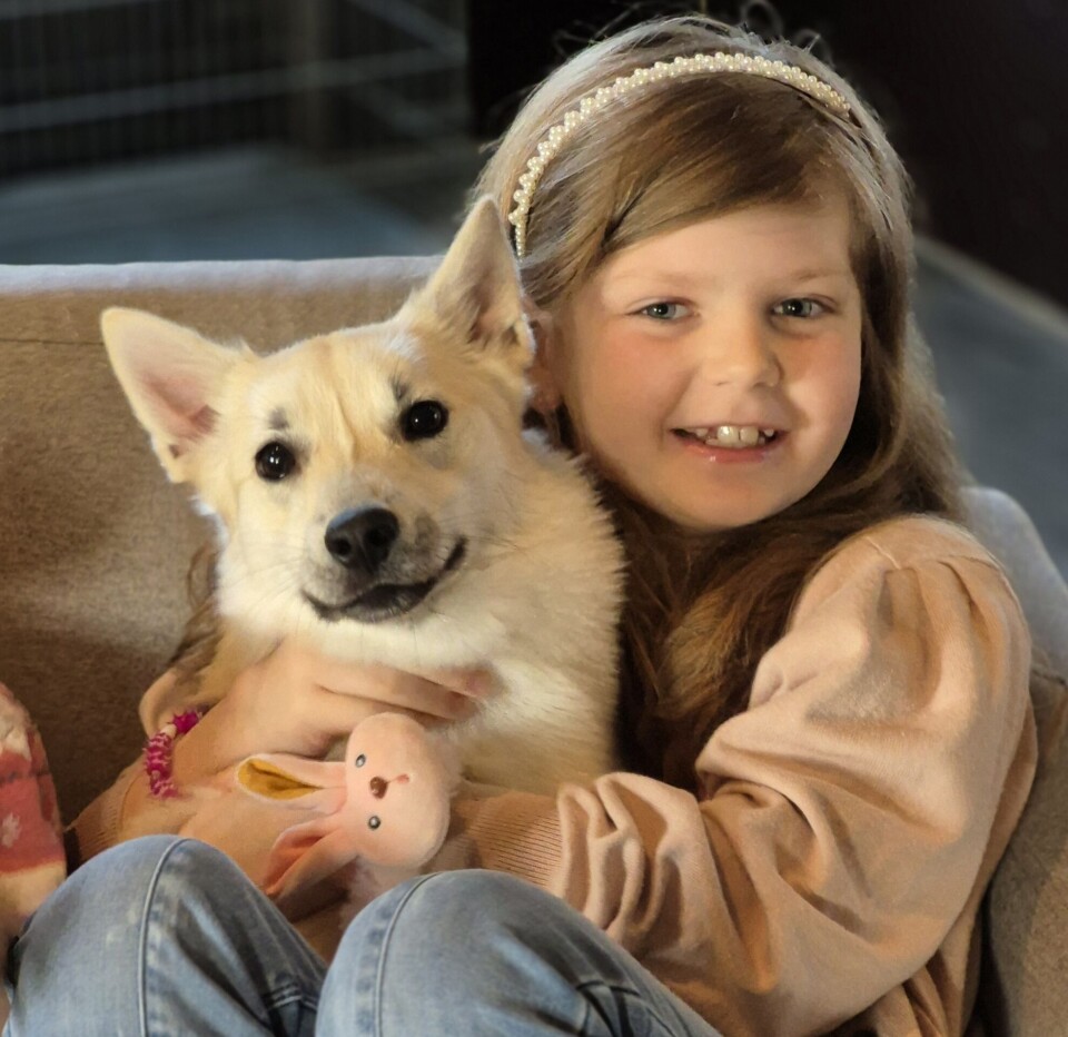 Elise 7 år