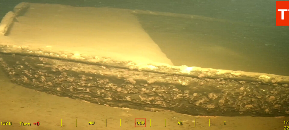 Skjulte skatter på bunnen av Norsjø. Er Norges største båtkirkegård avdekket?