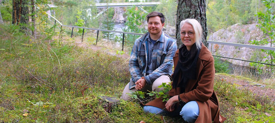 Først i landet med slikt prosjekt. – Ønsker å etablere en eventyrlig bålplass her