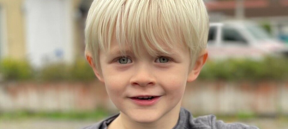 Sindre 5 år