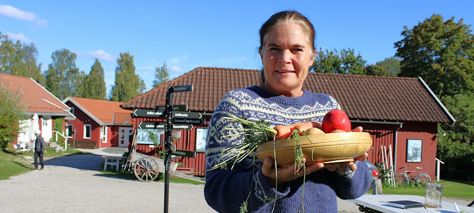 Hun venter rekordmange utstillere til årets høstmarked