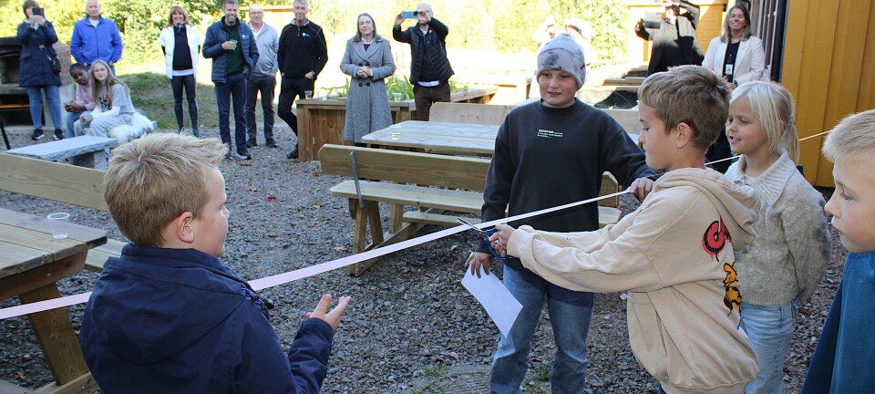 Endelig er skolehagen åpnet. Har blitt en flott læringsarena