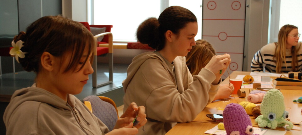 Hekler japanske figurer på biblioteket