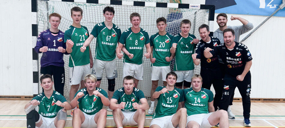 Solid lagseier for Skade i A–serien