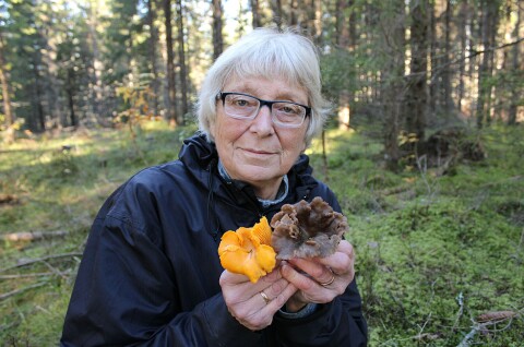 Bente har soppdilla - men ett sted går hun aldri mer