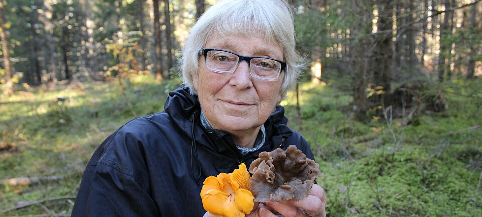 Bente har soppdilla - men ett sted går hun aldri mer