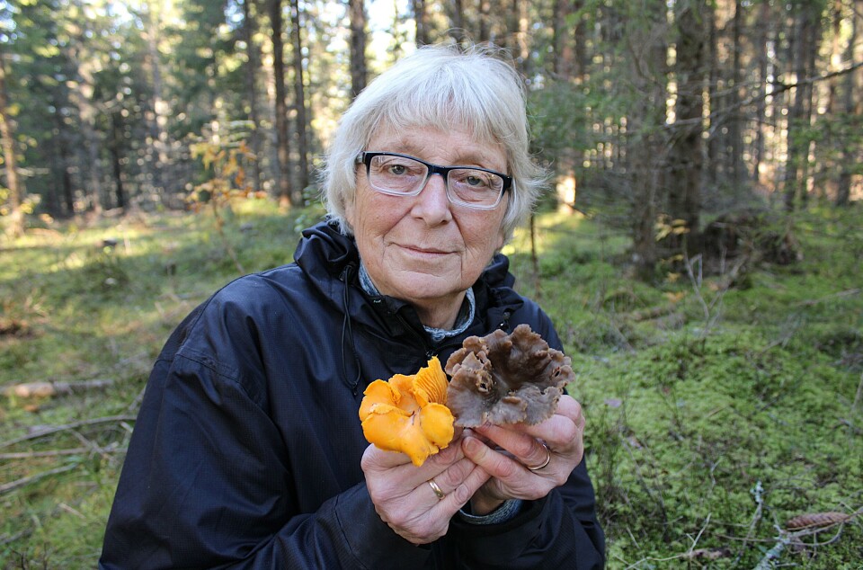 Bente har soppdilla - men ett sted går hun aldri mer