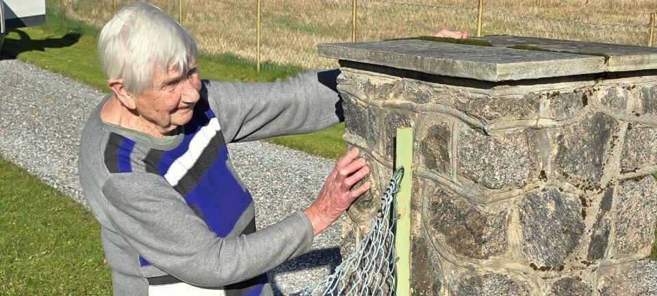 Reidun (91) gjemte seg bak en pilar og tok tyvene på fersken. – Hvis dere er kjappe, så kan dere ta dem nå