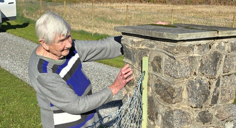 Reidun (91) gjemte seg bak en pilar og tok tyvene på fersken. – Hvis dere er kjappe, så kan dere ta dem nå