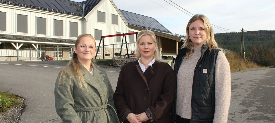 De frykter for barnas sikkerhet. Krever fartsdempende tiltak